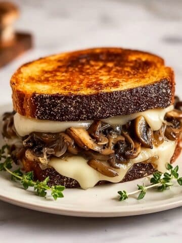 Swiss Mushroom Melt Delight Recipe