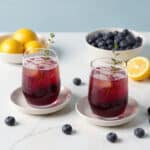Blueberry Thyme Gin Fizz Recipe