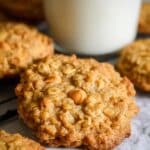 Pumpkin Oatmeal Scotchies Recipe