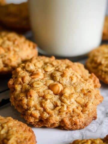 Pumpkin Oatmeal Scotchies Recipe